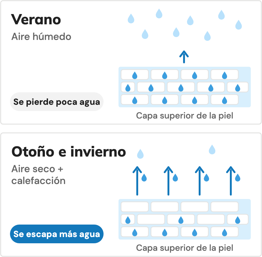 El aire más seco hace que la capa superior de la piel pierda agua más rápido. Ilustración.